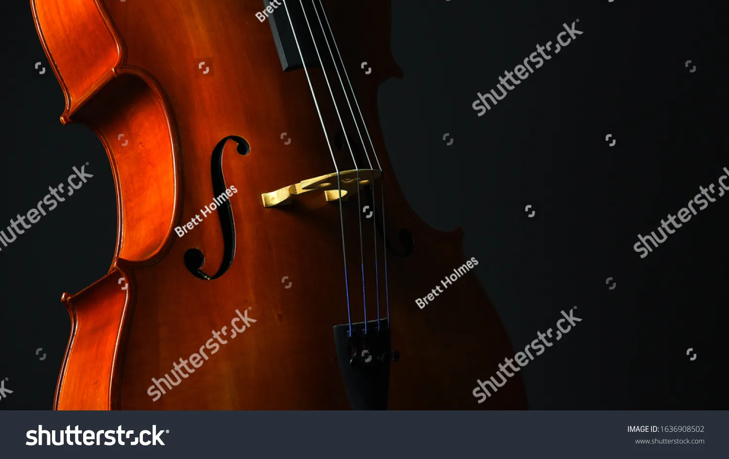 ویولون سل Cello - کد 1636908502