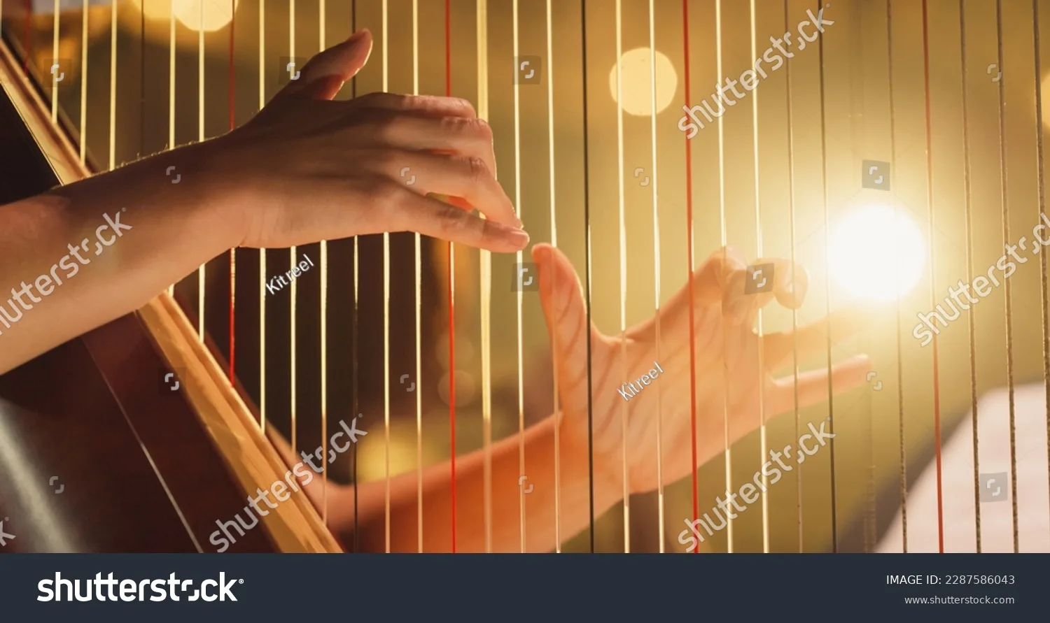 چنگ Harp - کد 2287586043