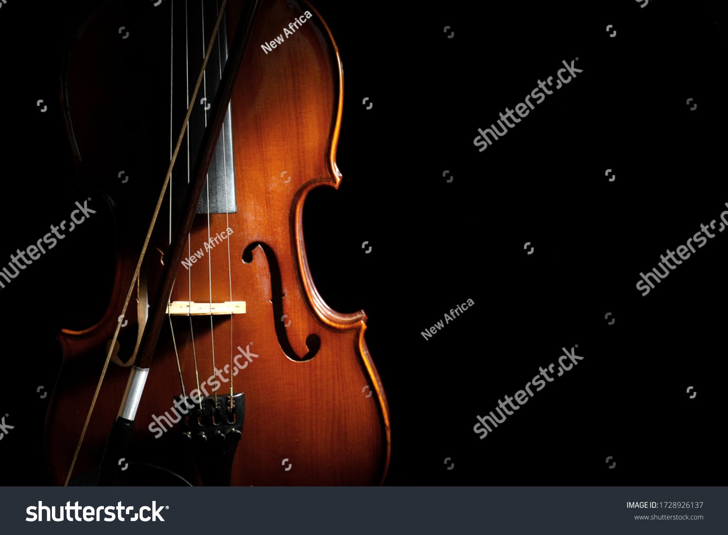 ویولون Violin - کد 1728926137