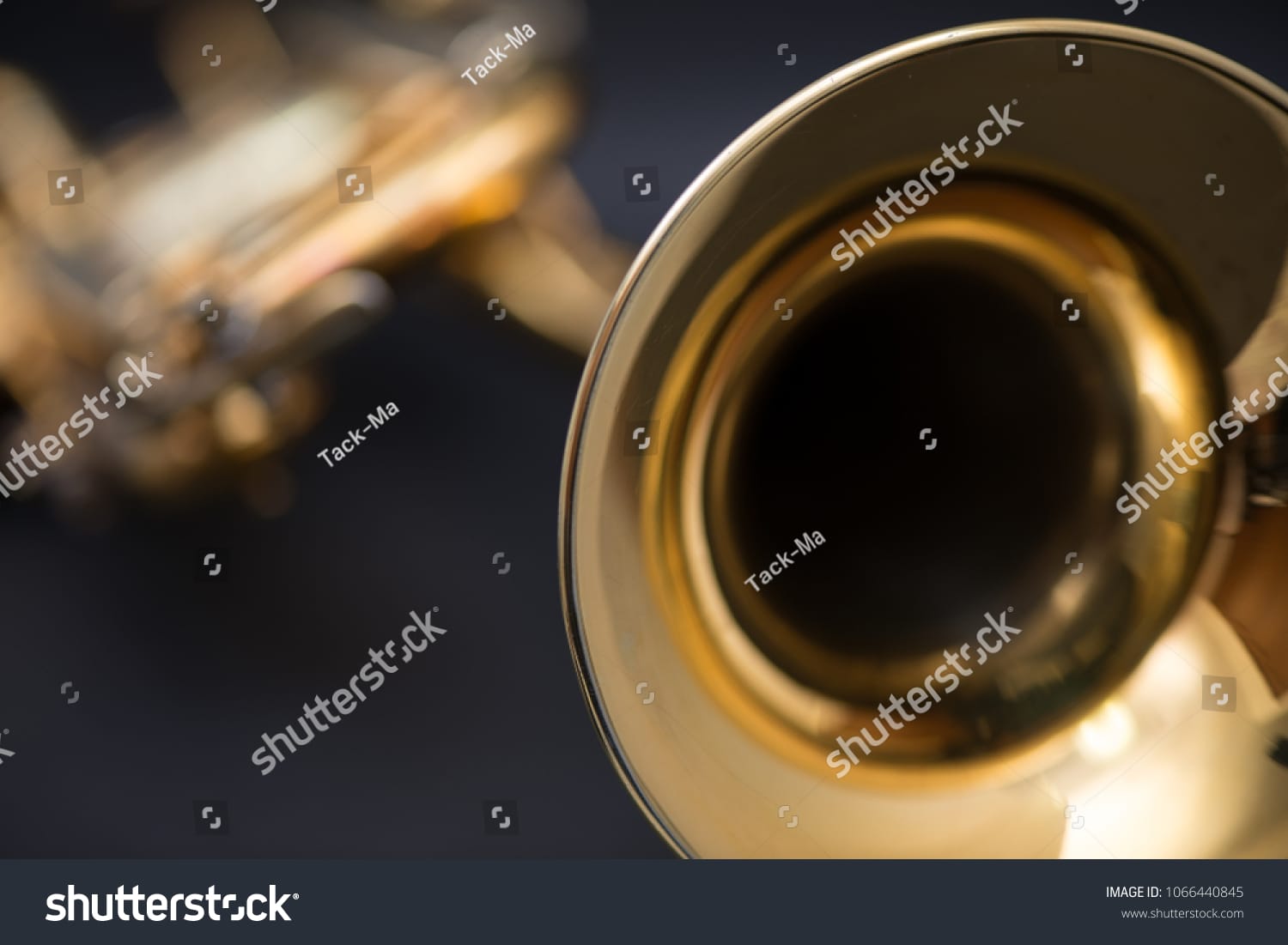 ترومپت Trumpet - کد 1066440845