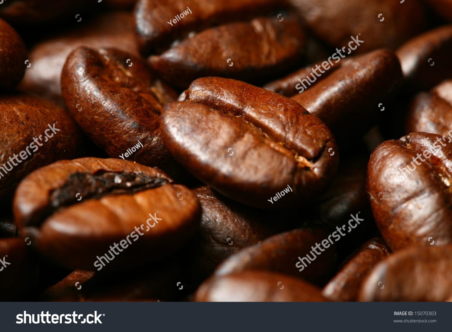دانه قهوه coffee beans - کد 15070303