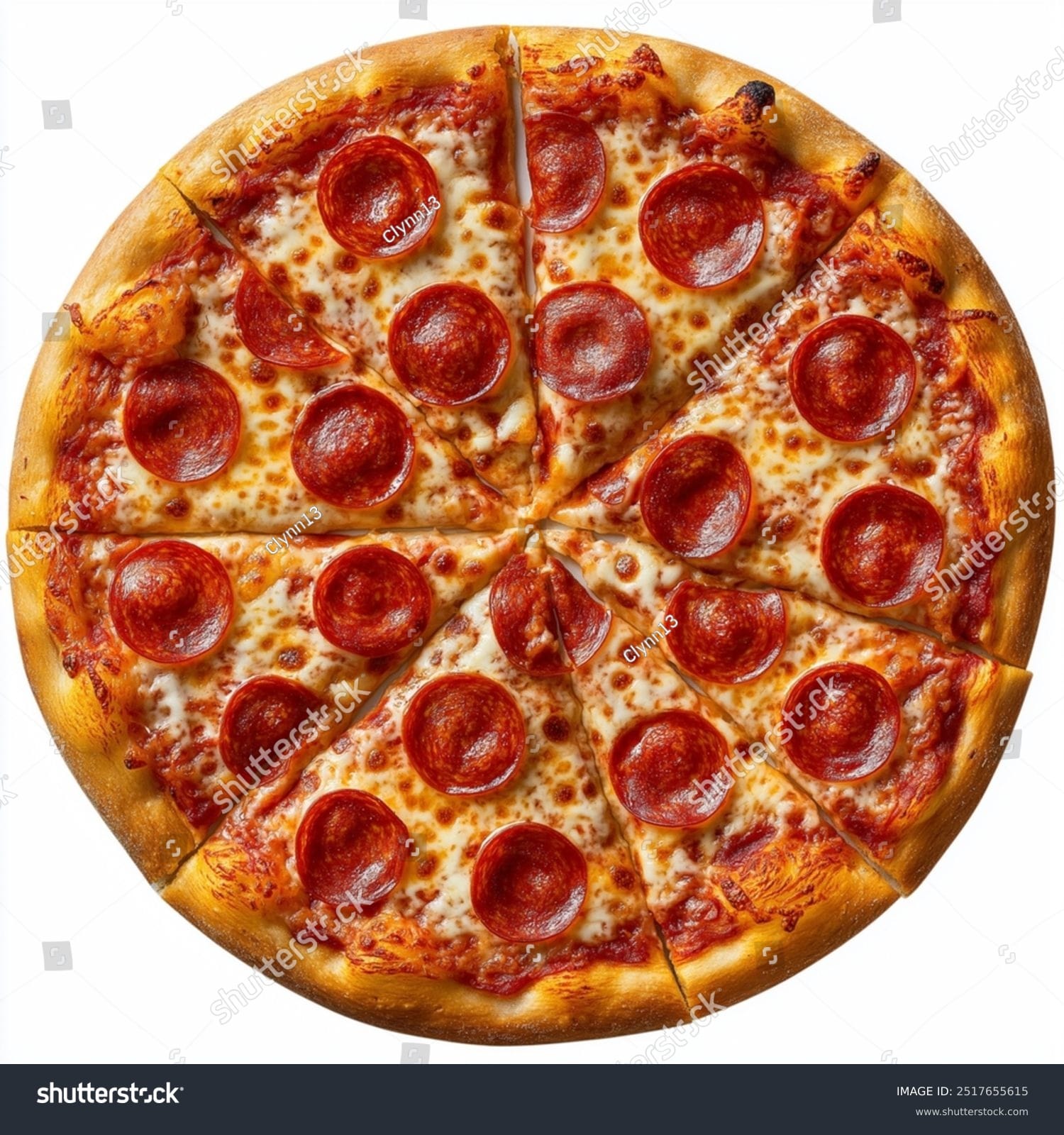 پیتزا Pizza - کد 2517655615