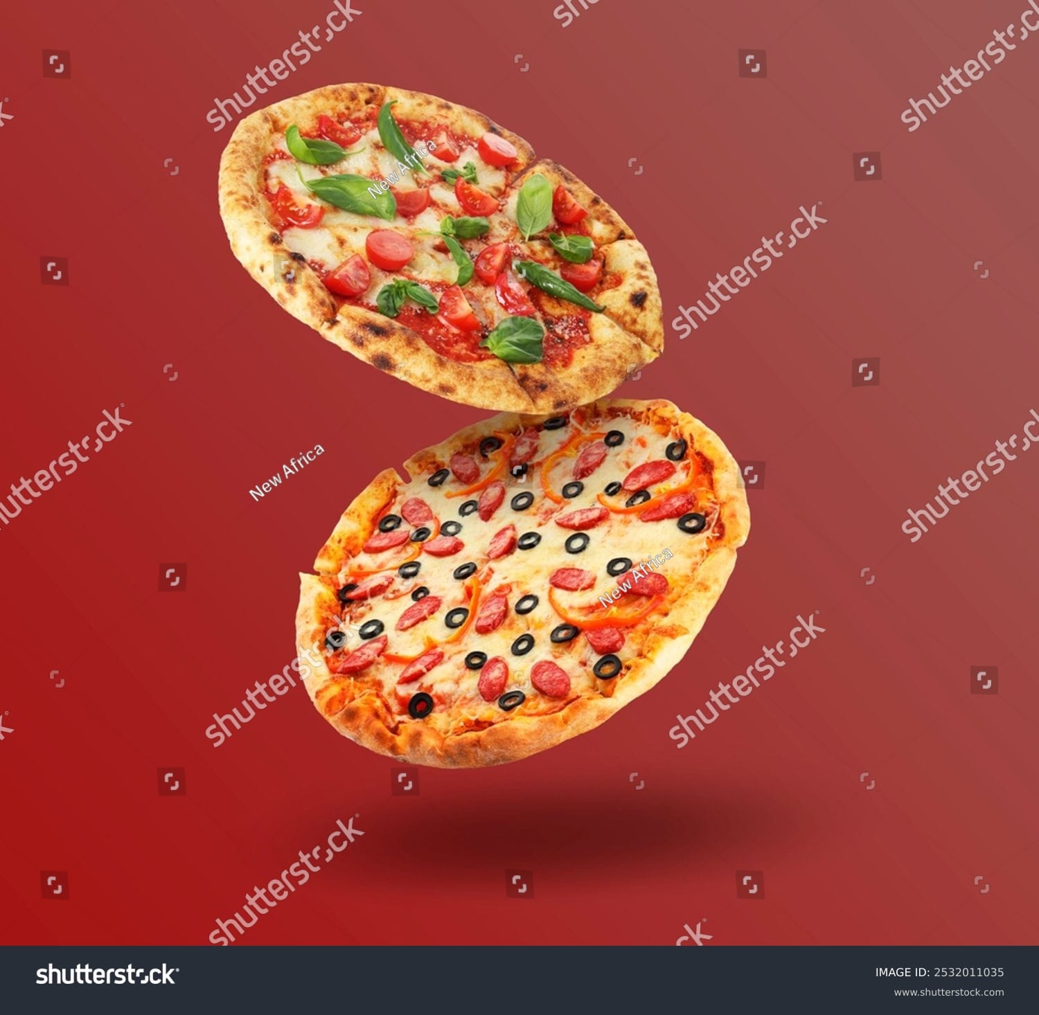 پیتزا Pizza - کد 2532011035