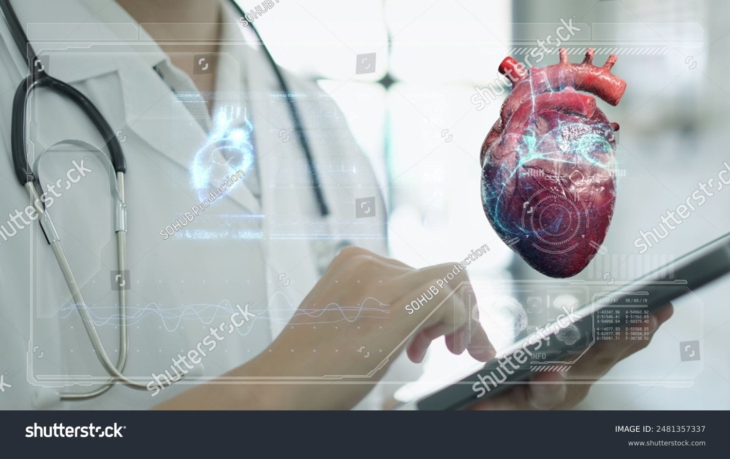 قلب انسان Human Heart - کد 2481357337