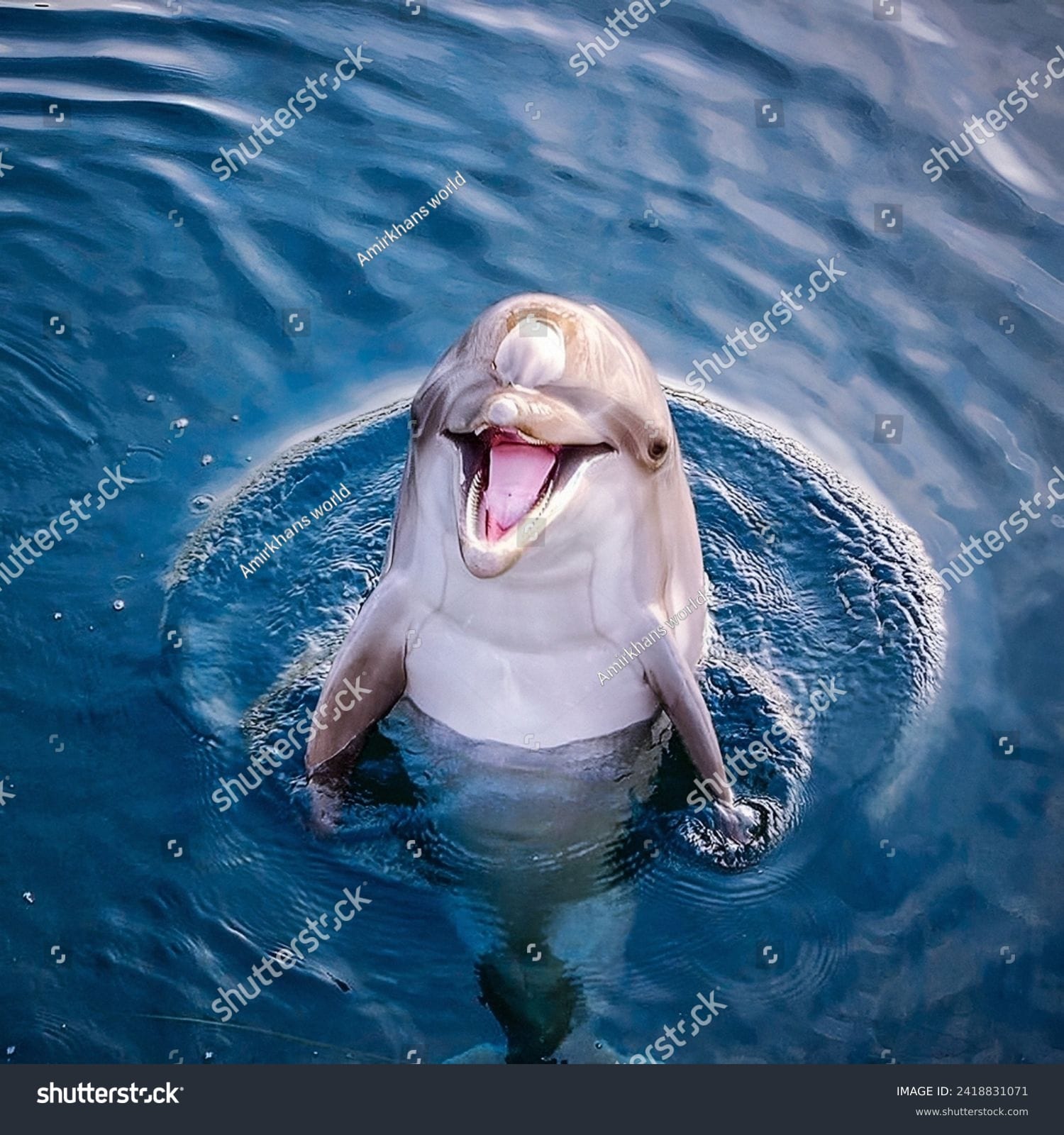 دلفین Dolphin - کد 2418831071