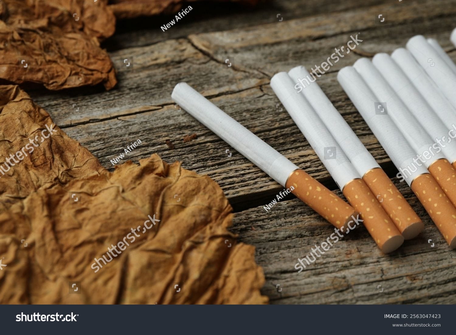 سیگار Cigarette - کد 2563047423