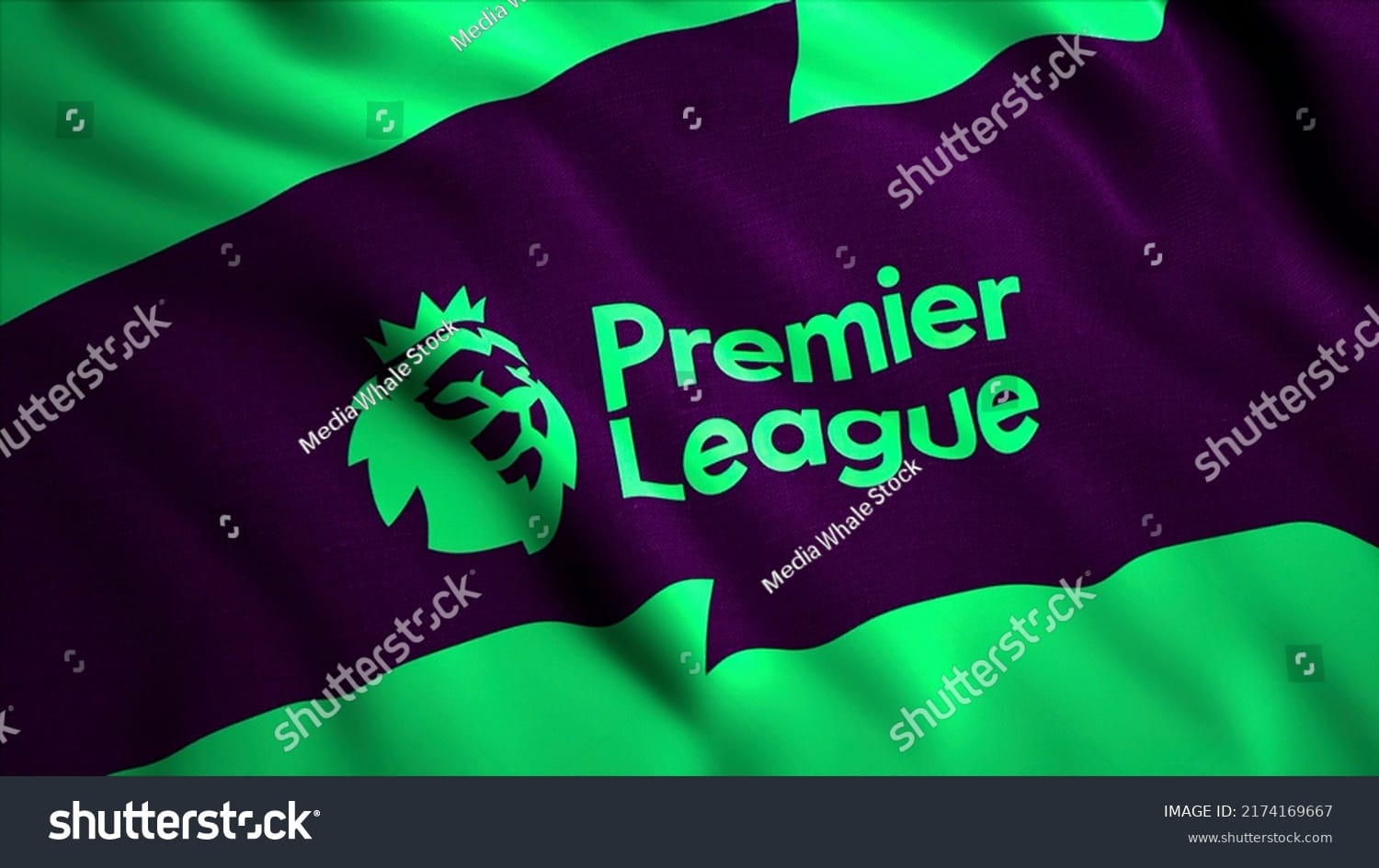لیگ حرفه ای فوتبال انگلیس English Premier League - کد 2174169667