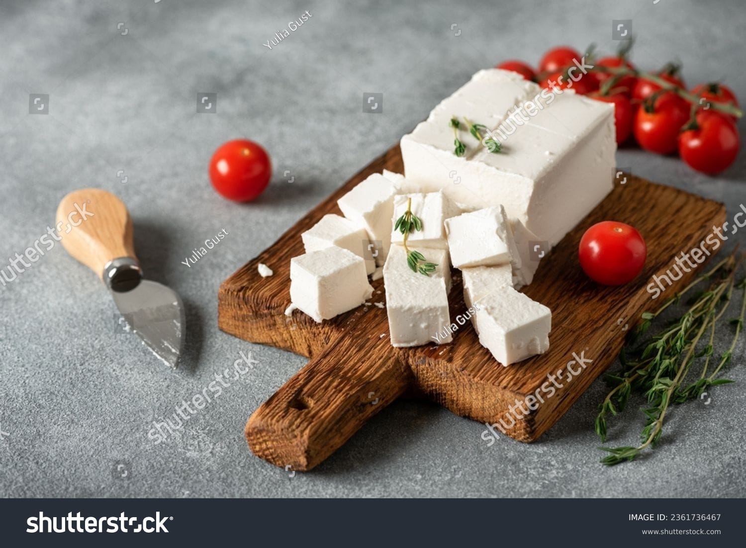 پنیر Cheese - کد 2361736467