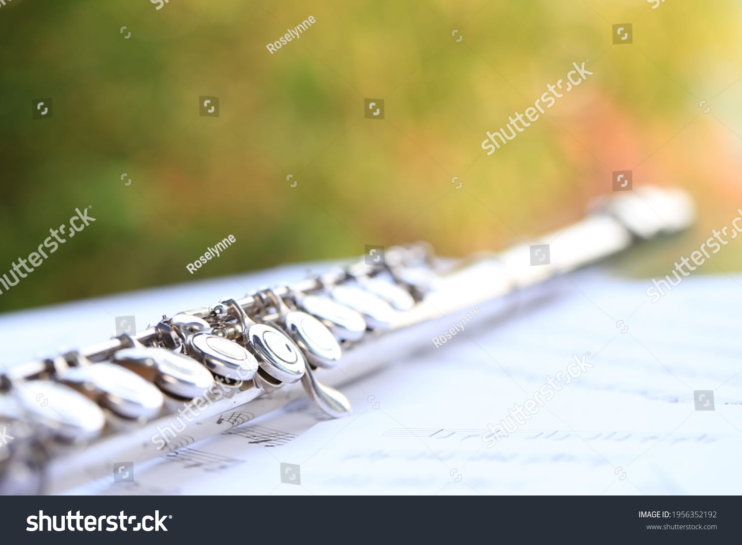 فلوت Flute - کد 1956352192