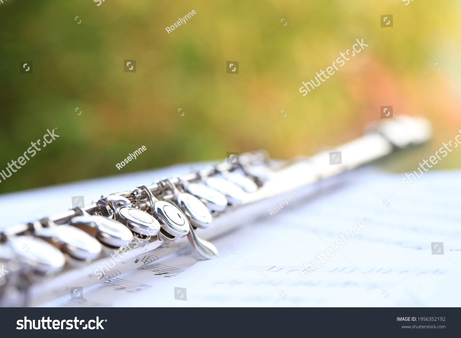 فلوت Flute - کد 1956352192