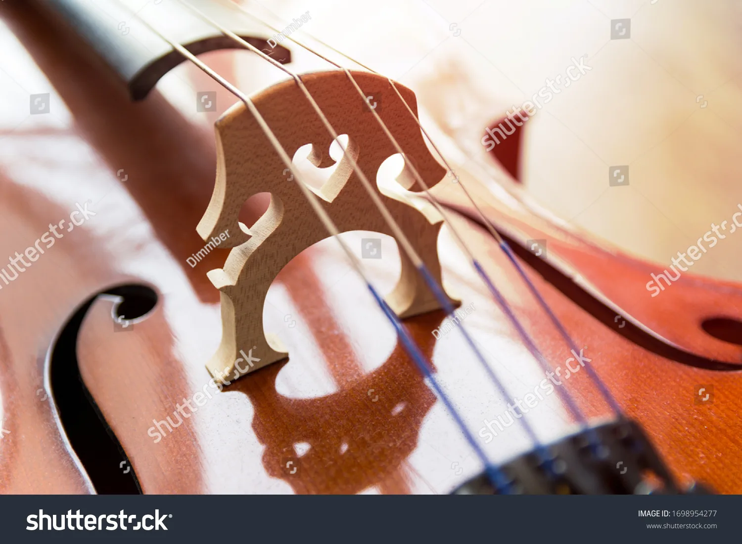ویولون سل Cello - کد 1698954277