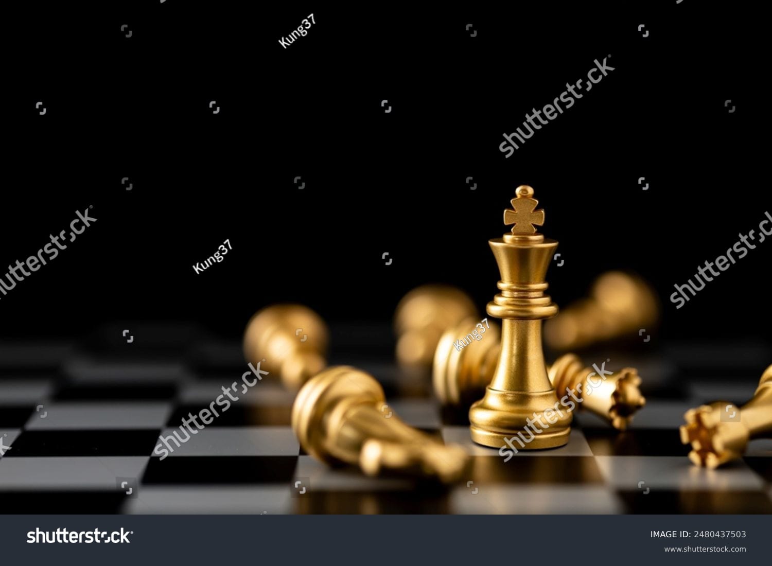 مهره های شطرنج Chess Pieces - کد 2480437503