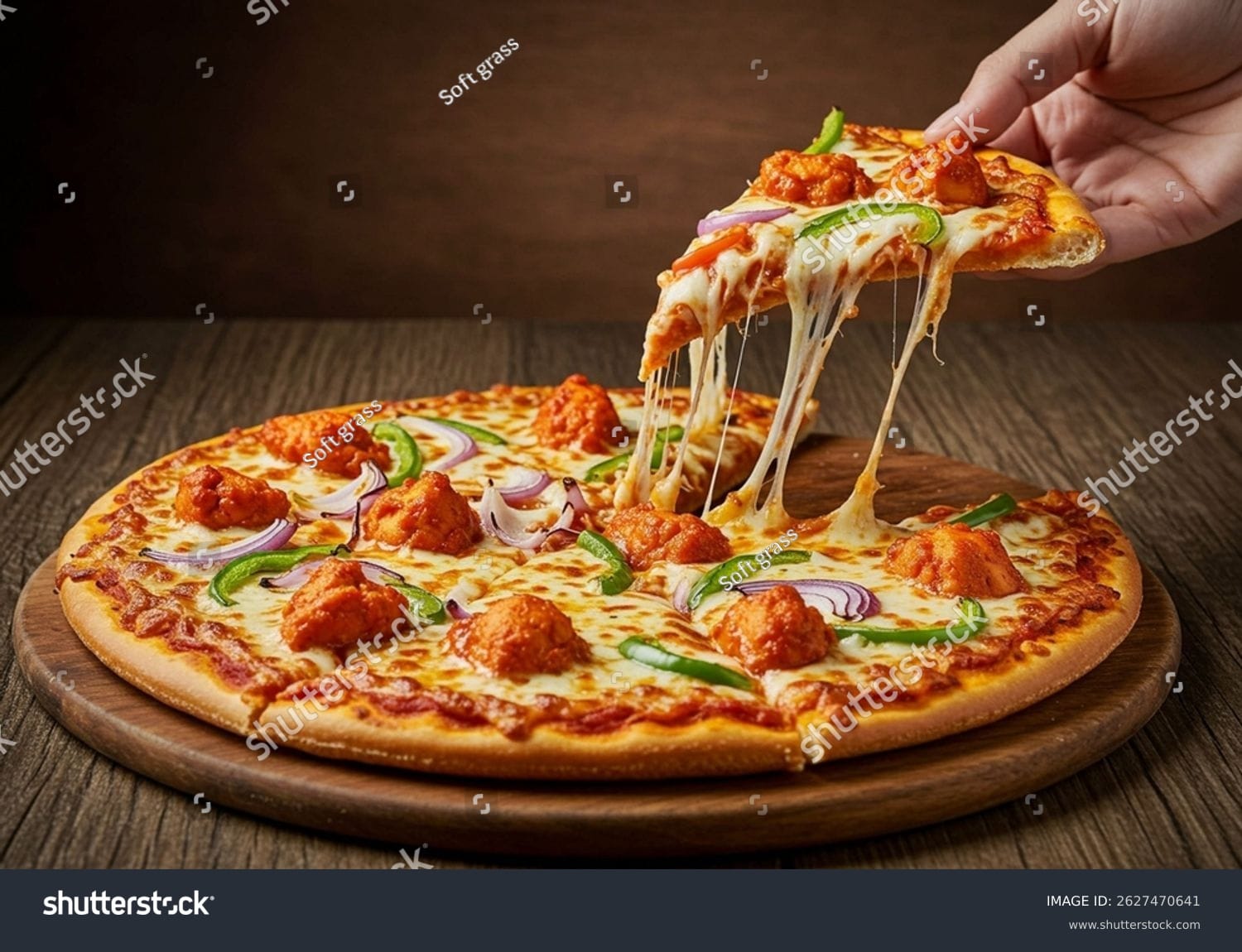 پیتزا Pizza - کد 2627470641