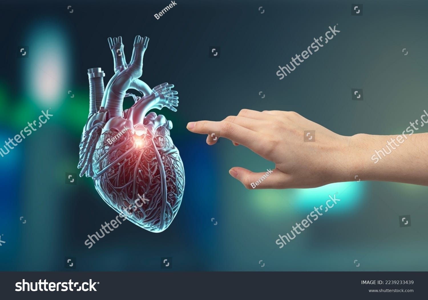 قلب انسان Human Heart - کد 2239233439