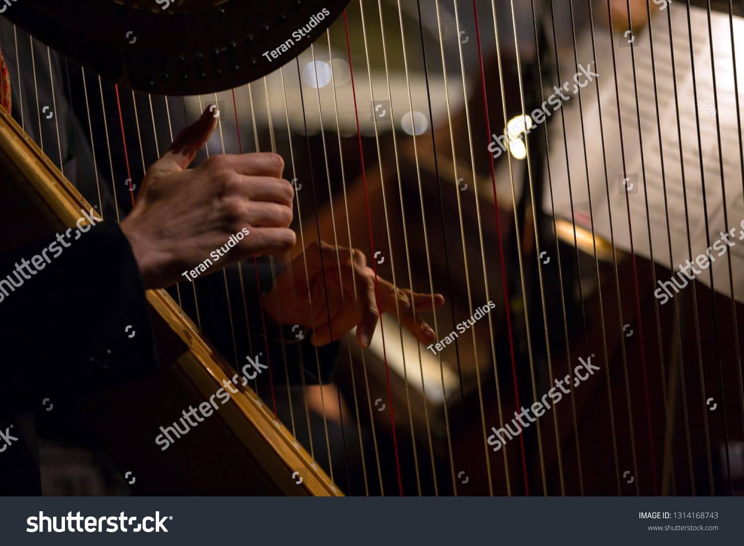 چنگ Harp - کد 1314168743