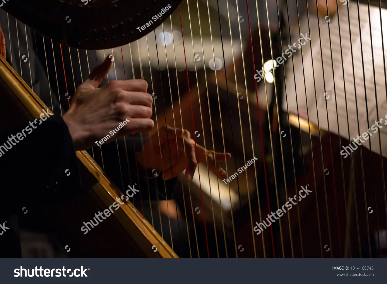 چنگ Harp - کد 1314168743