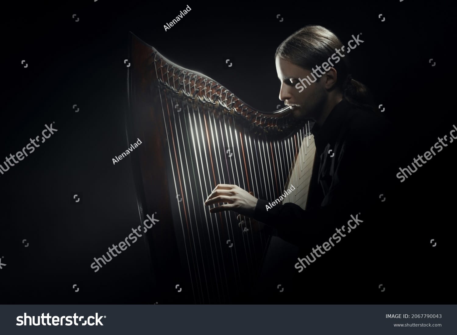 چنگ Harp - کد 2067790043