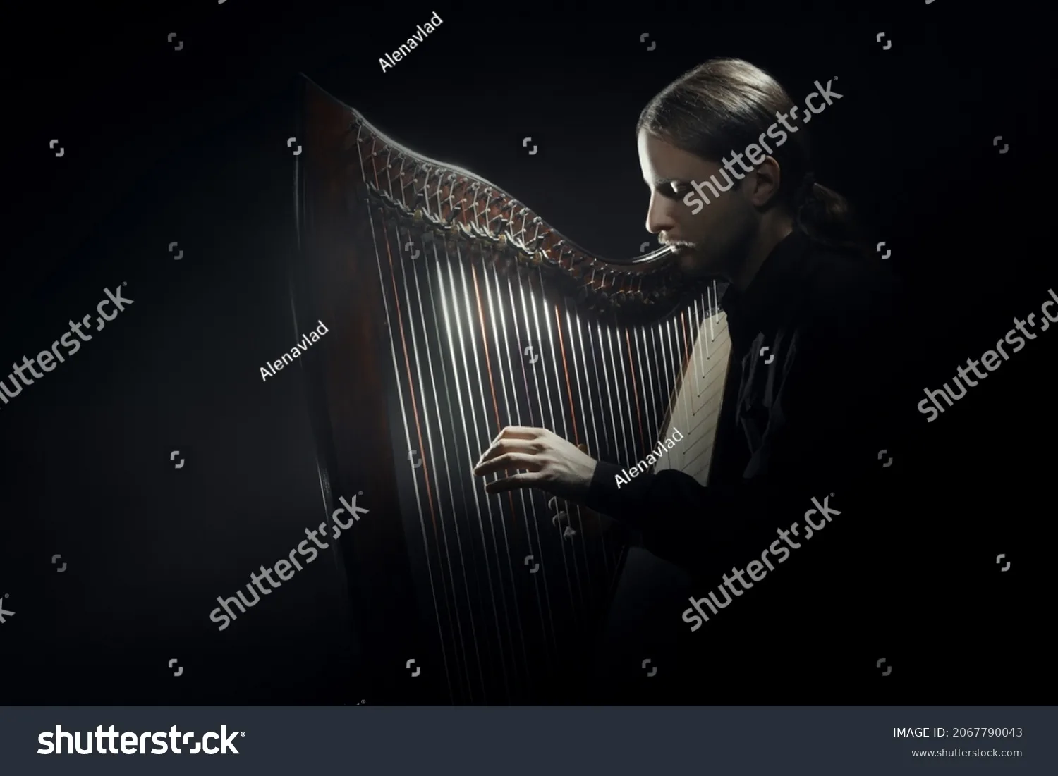 چنگ Harp - کد 2067790043