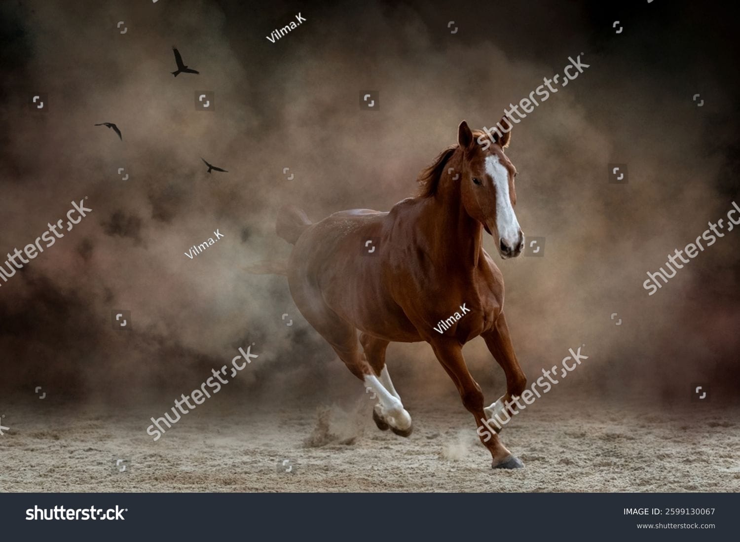 اسب horse - کد 2599130067