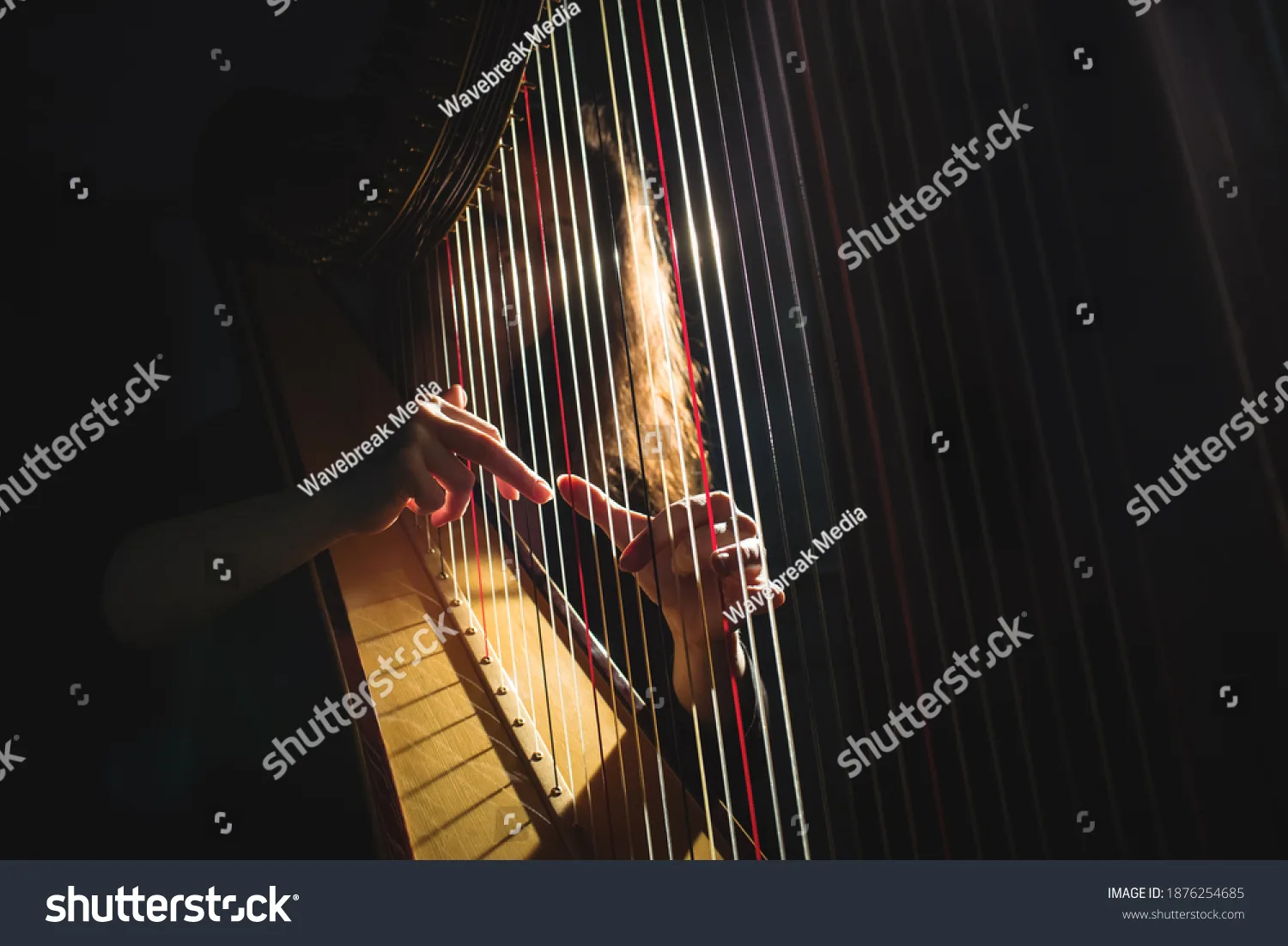 چنگ Harp - کد 1876254685