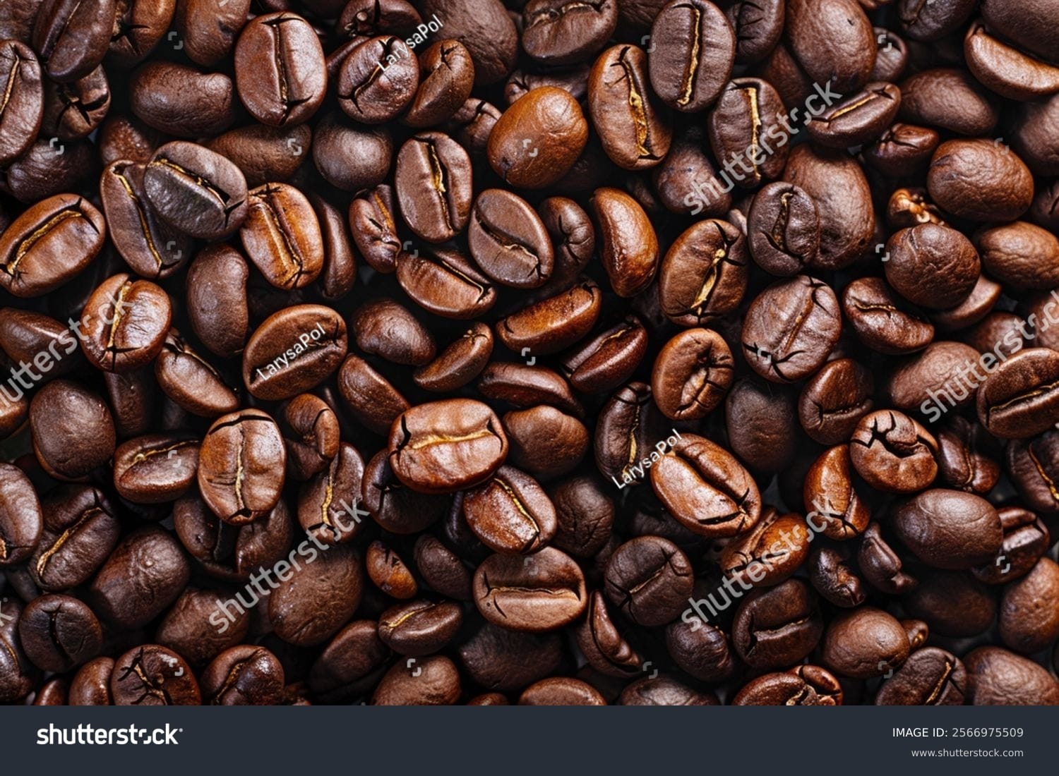 دانه قهوه coffee beans - کد 2566975509