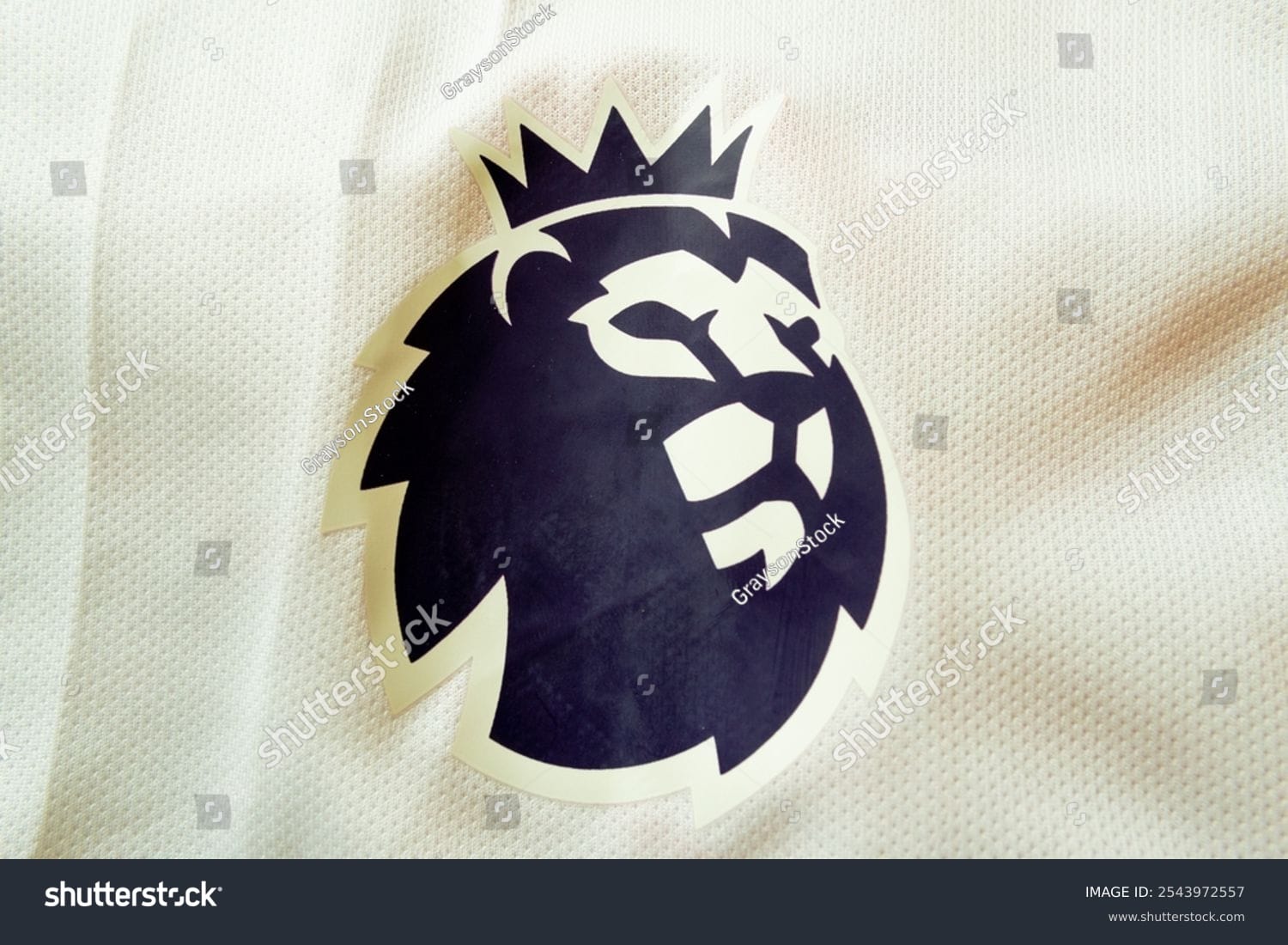 لیگ حرفه ای فوتبال انگلیس English Premier League - کد 2543972557