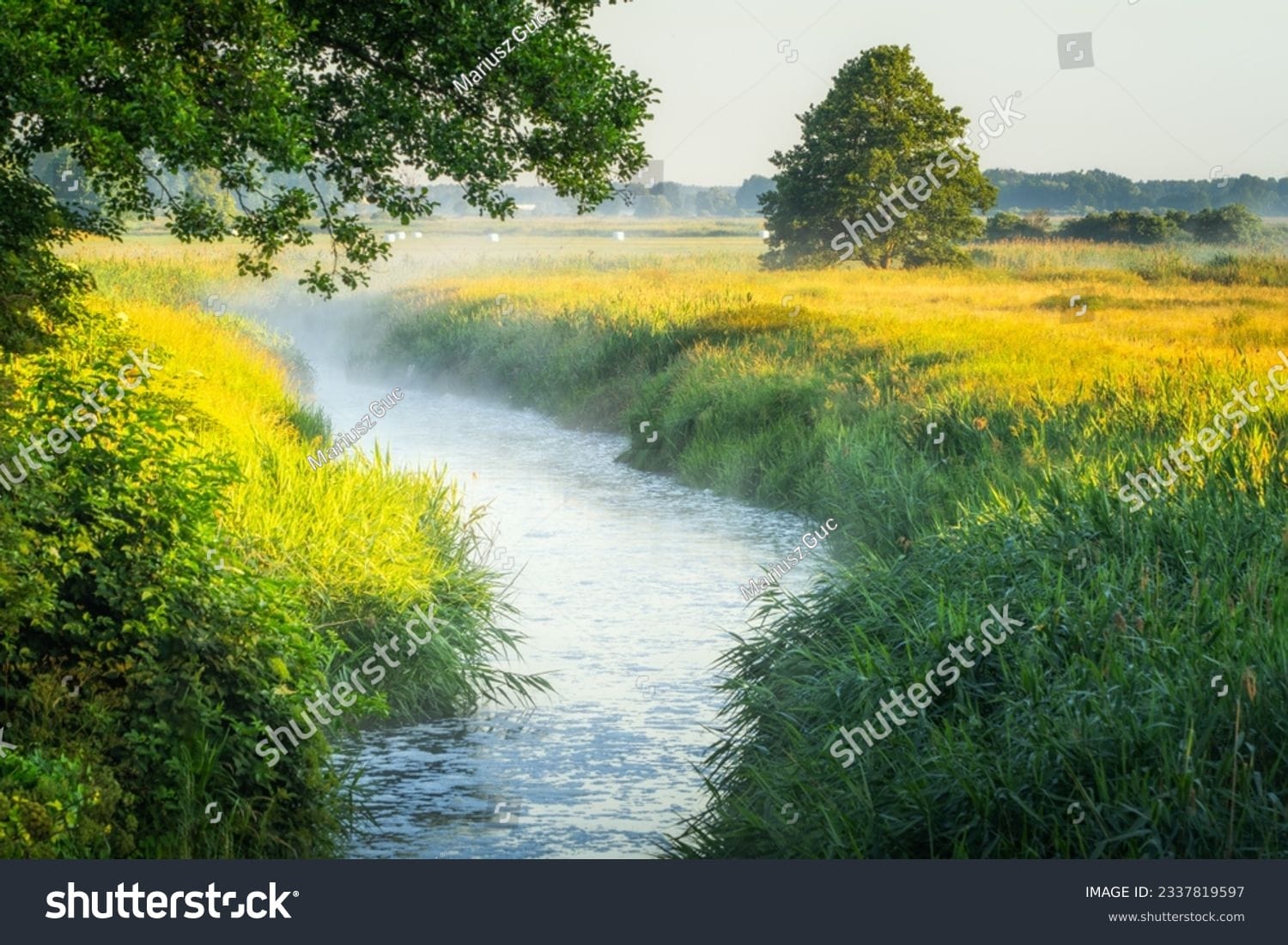 رودخانه River - کد 2337819597