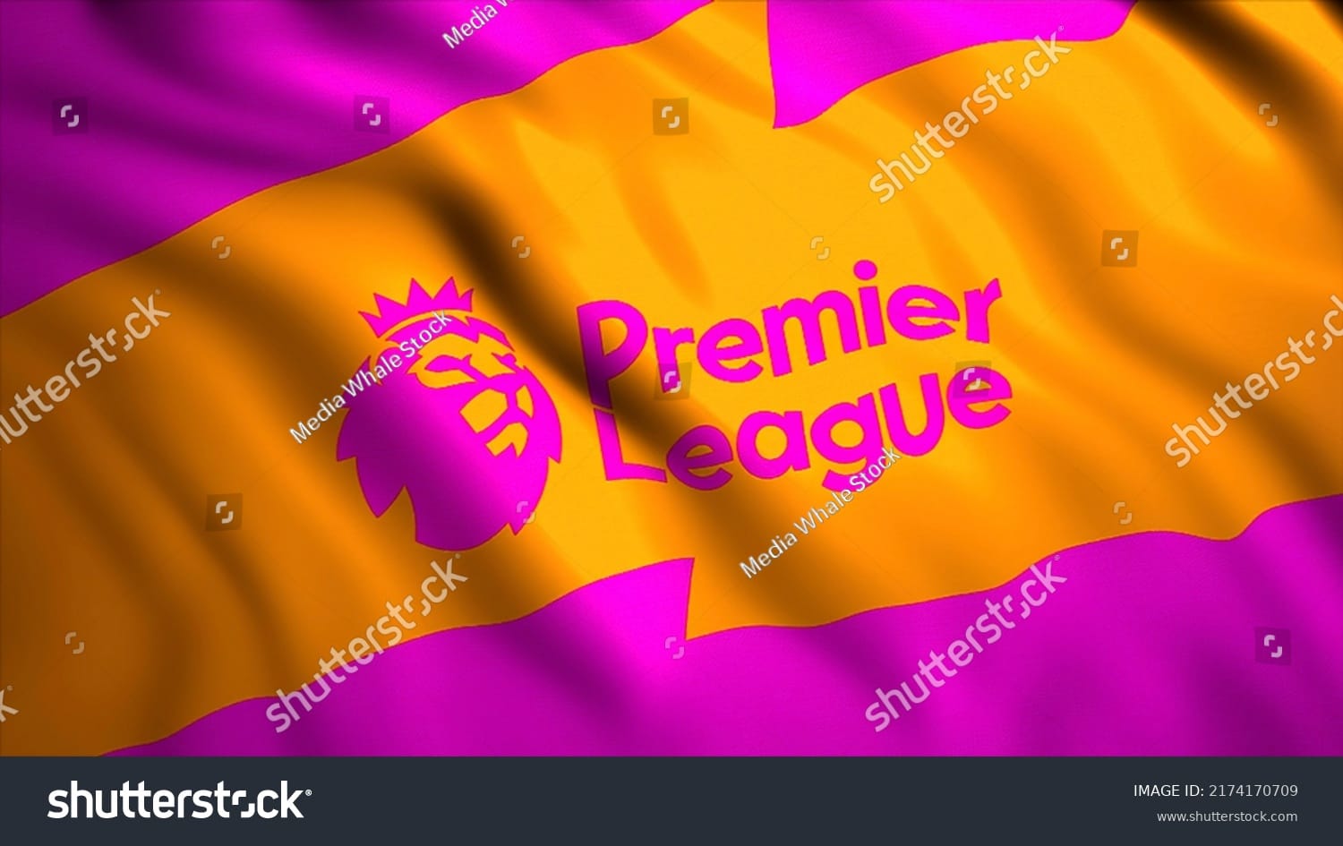 لیگ حرفه ای فوتبال انگلیس English Premier League - کد 2174170709