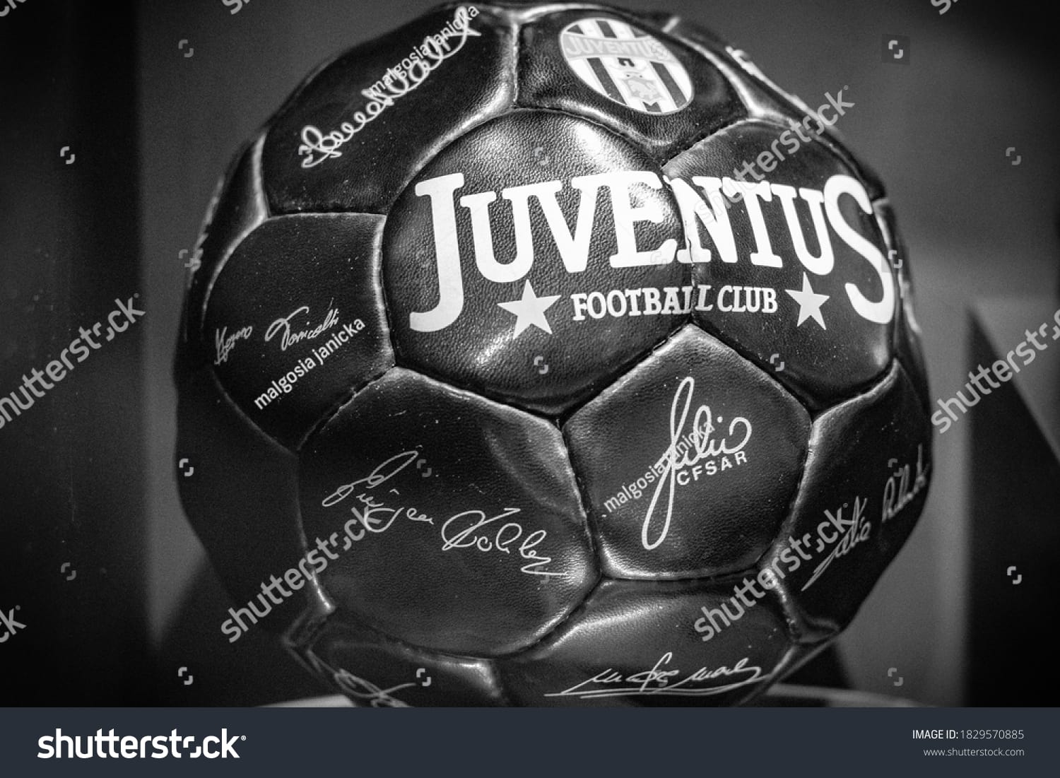 لوگو باشگاه یوونتوس Juventus - کد 1829570885