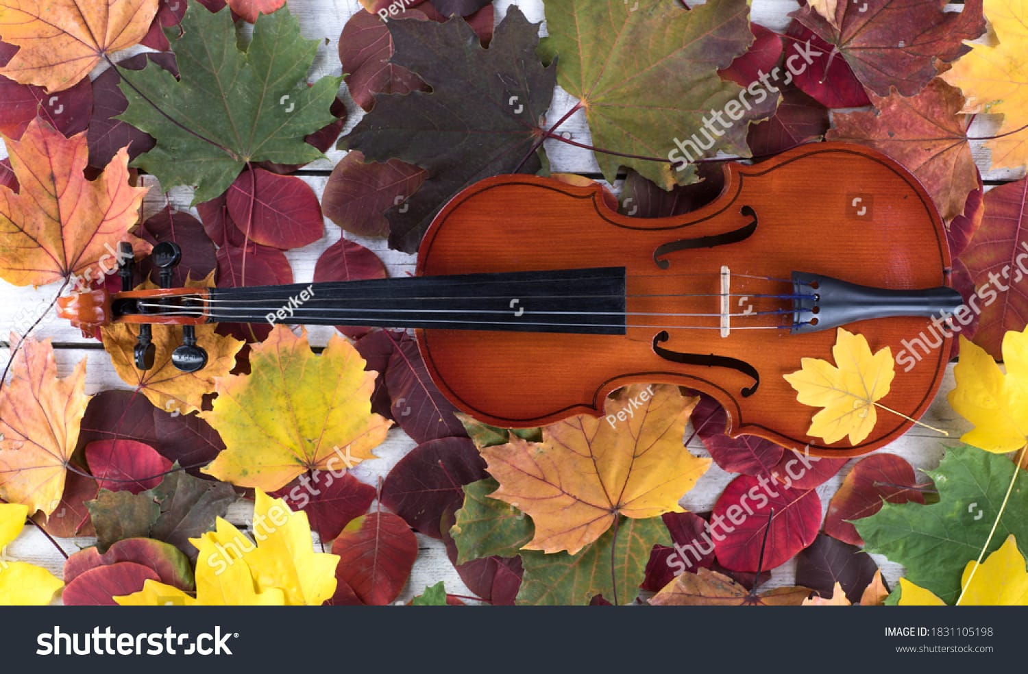 ویولون Violin - کد 1831105198