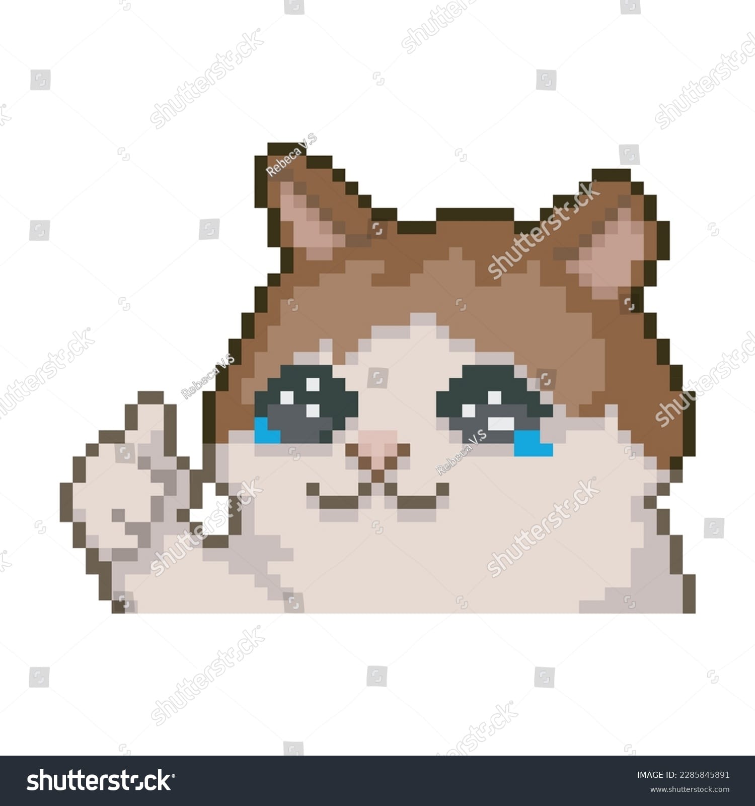 پیکسل کت Pixel Cat - کد 2159535415
