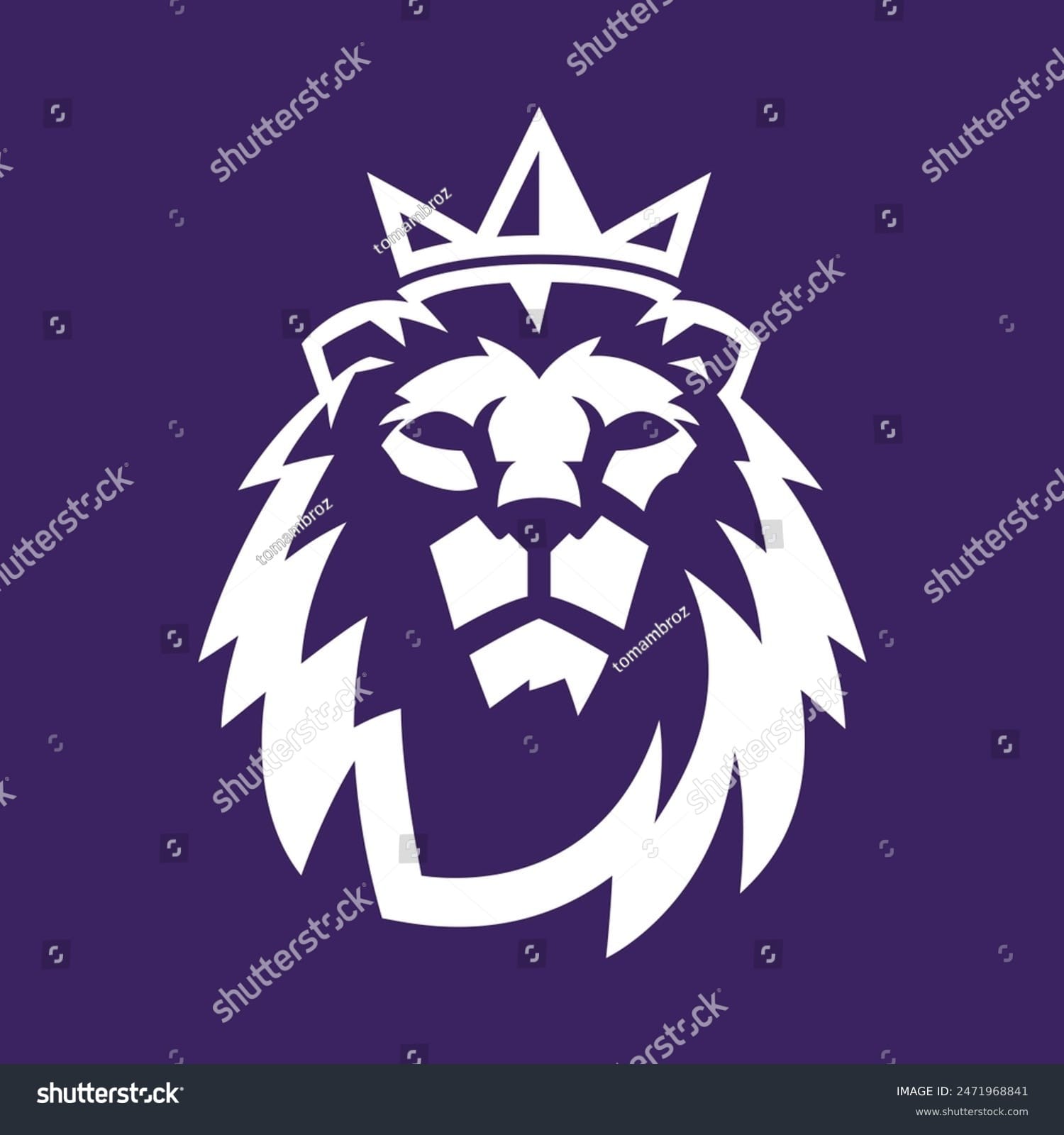لیگ حرفه ای فوتبال انگلیس English Premier League - کد 2471968841