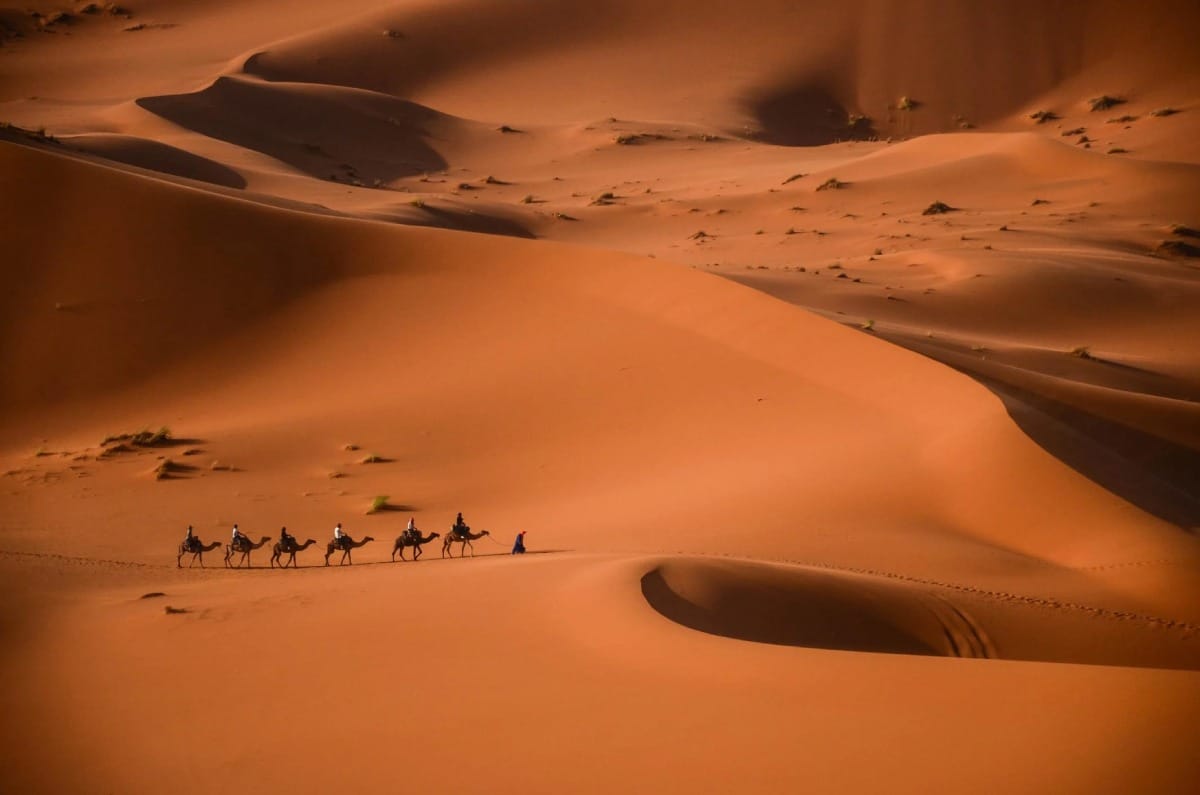 چاپ عکس صحرای آفریقا Sahara Desert روی انواع پرده