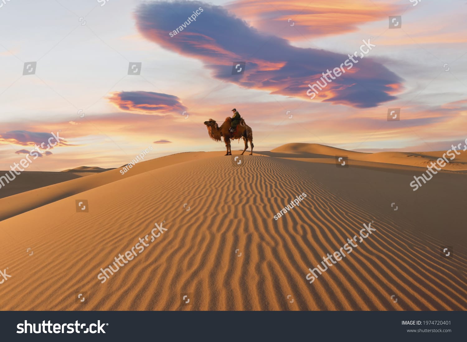 صحرای آفریقا Sahara Desert - کد 1974720401