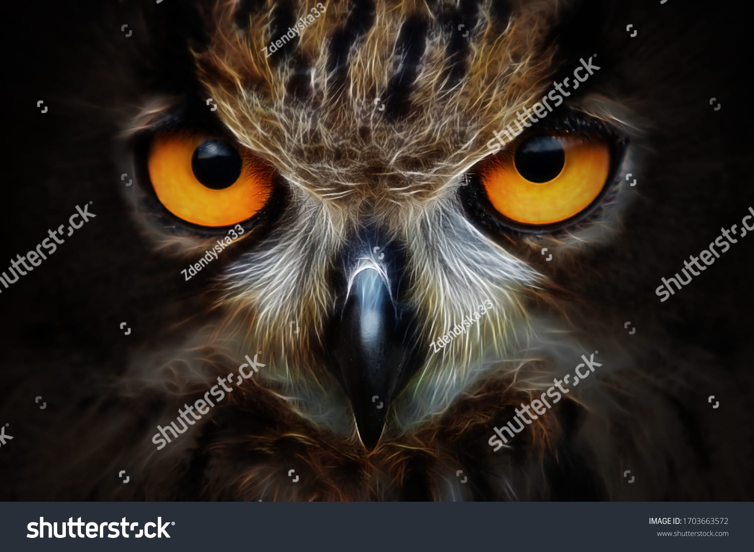 جغد Owl - کد 1703663572