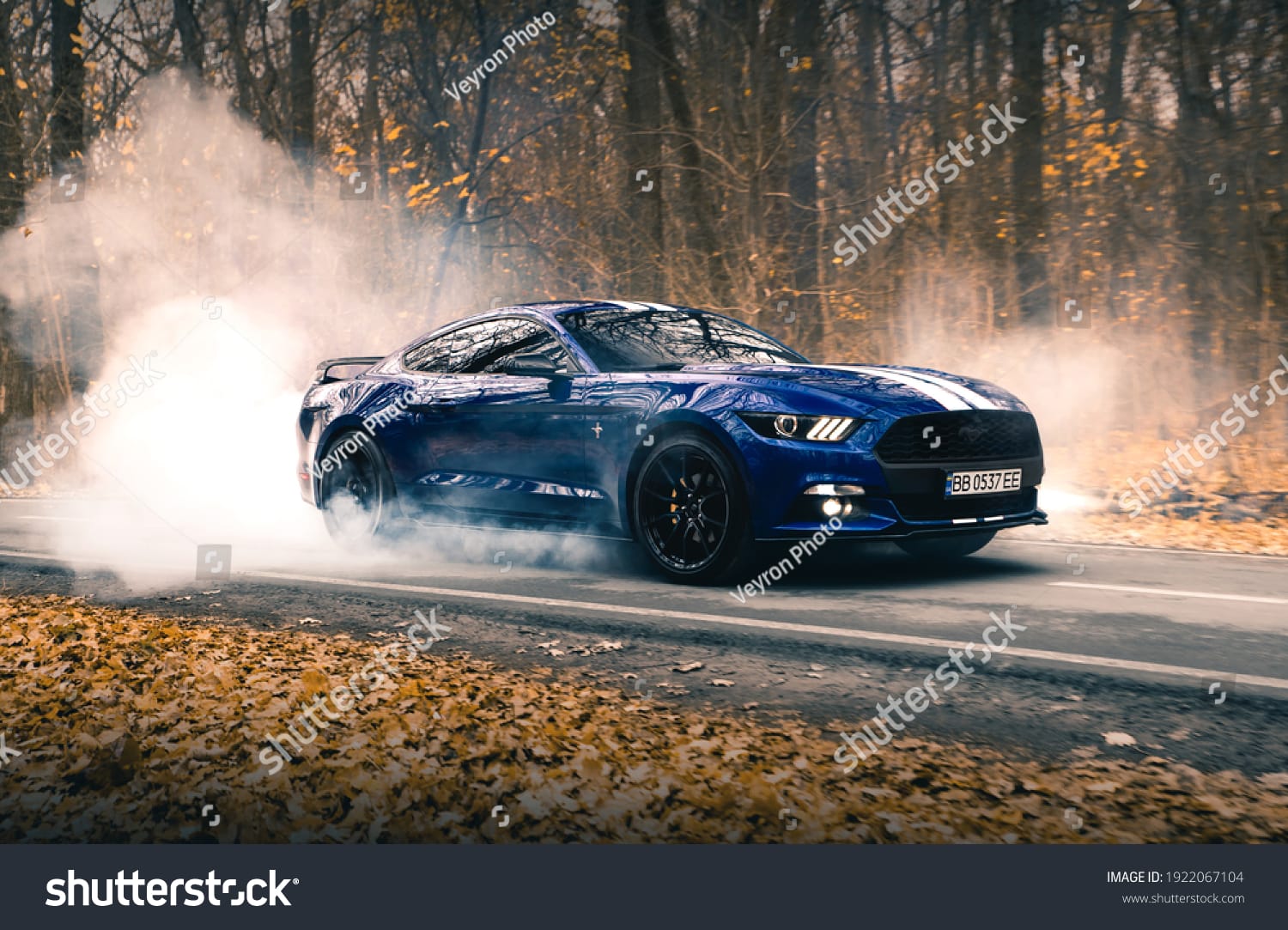 فورد موستانگ Ford Mustang - کد 1922067104