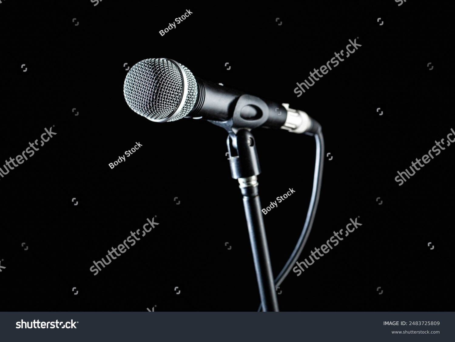 میکروفون Microphone - کد 2483725809