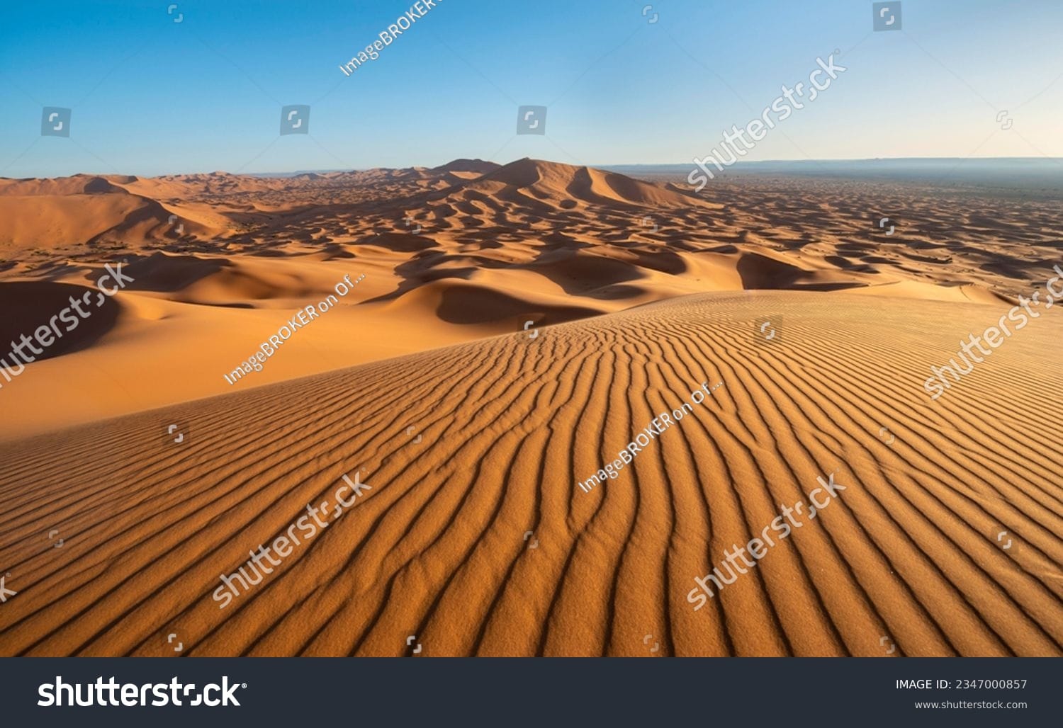 صحرای آفریقا Sahara Desert - کد 2347000857