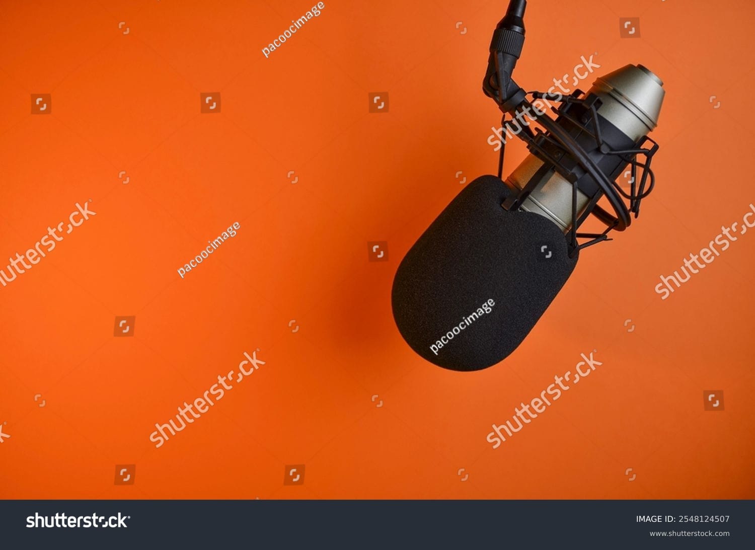 میکروفون Microphone - کد 2548124507