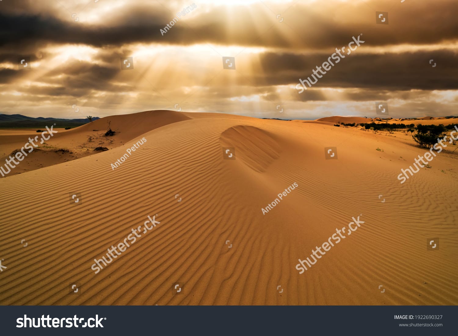 صحرای آفریقا Sahara Desert - کد 1922690327