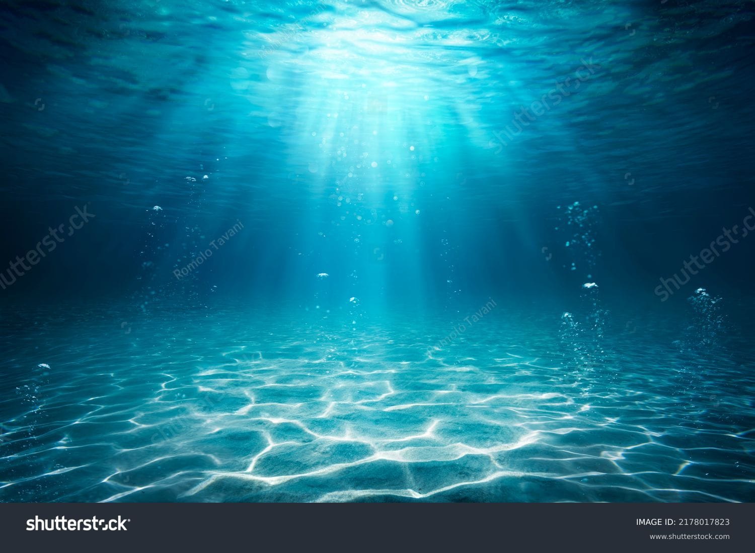 اقیانوس Ocean - کد 2178017823